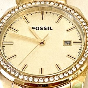 Beautiful Fossil Watch